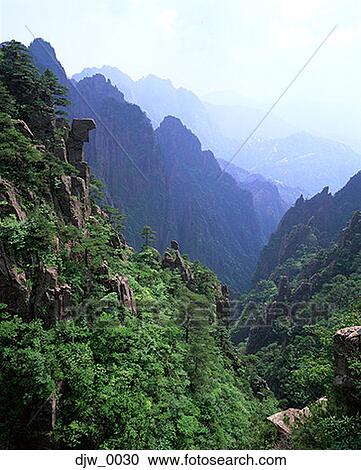 Stock Image - High angle view tree-covered mountains. Fotosearch