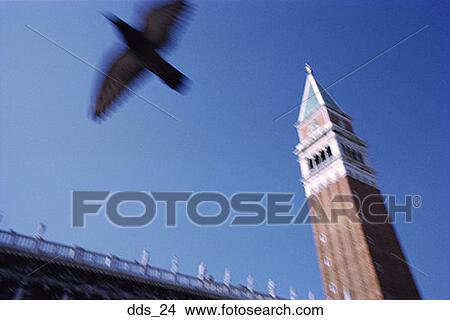 Picture - Low angle view of a bird flying by a tower. Fotosearch