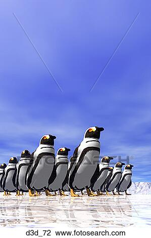 Low angle view of a large group of penguins walking View Large Photo Image Stock Image - Low angle view of a large group of penguins walking. Fotosearch