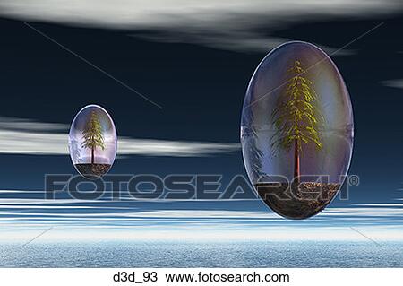 Low angle view of evergreen trees in bubbles View Large Photo Image Stock Image - Low angle view of evergreen trees in bubbles. Fotosearch