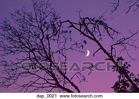 Low angle view of the moon in the sky View Large Photo Image Stock Image - Low angle view of the moon in the sky. Fotosearch