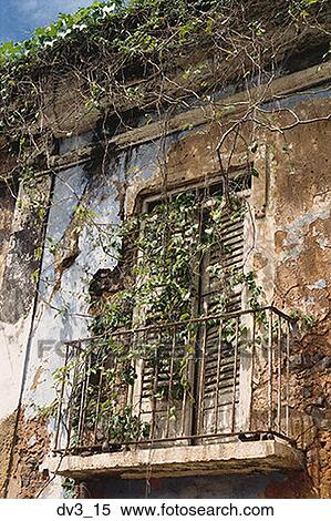 Low angle view of vines growing over a balcony View Large Photo Image Stock Photography - Low angle view of vines growing over a balcony. Fotosearch