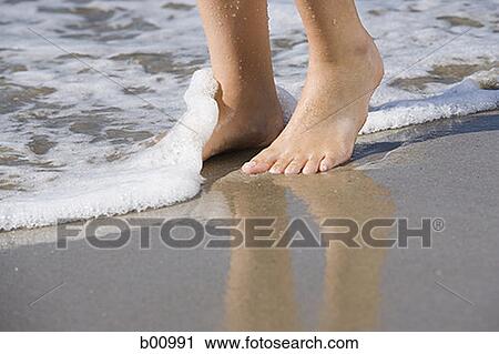 Low section view of a young woman standing in water on the beach View Large Photo Image Stock Image - Low section view of a young woman standing in water on the beach. Fotosearch