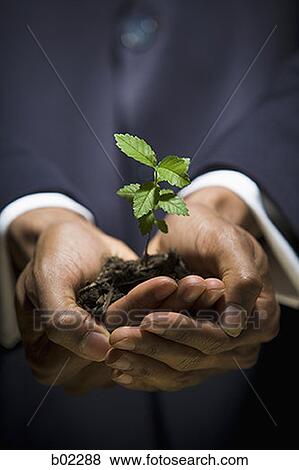 Stock Photo - Man holding a sapling. Fotosearch