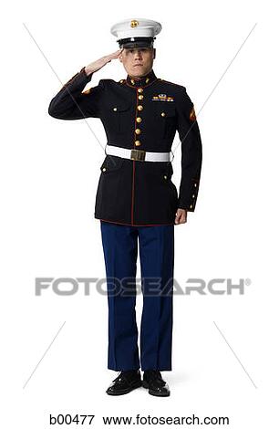 Portrait of a navy officer saluting View Large Photo Image Stock Photo - Portrait of a navy officer saluting. Fotosearch
