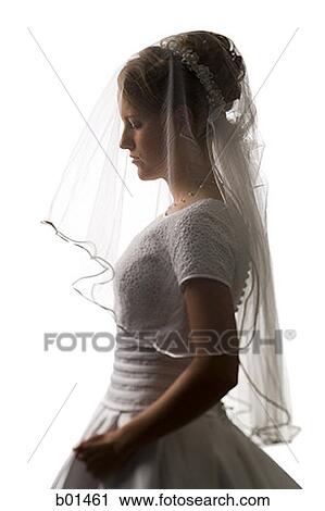 Portrait of a young bride View Large Photo Image Stock Image - Portrait of a young bride. Fotosearch