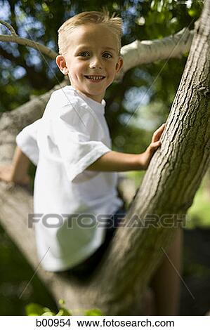 Profile of a boy sitting in a tree View Large Photo Image Picture - Profile of a boy sitting in a tree. Fotosearch
