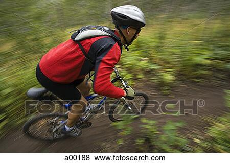 Profile of a mature man mountain biking View Large Photo Image Stock Photo - Profile of a mature man mountain biking. Fotosearch