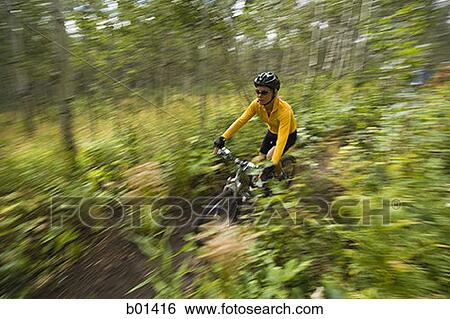 Profile of an adult woman cycling in a forest View Large Photo Image Stock Photograph - Profile of an adult woman cycling in a forest. Fotosearch