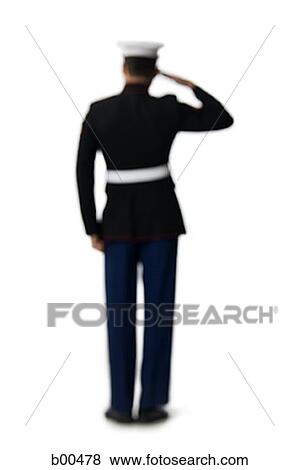 Rear view of a navy officer saluting View Large Photo Image Stock Photo - Rear view of a navy officer saluting. Fotosearch