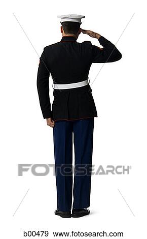 Rear view of a navy officer saluting View Large Photo Image Stock Photo - Rear view of a navy officer saluting. Fotosearch