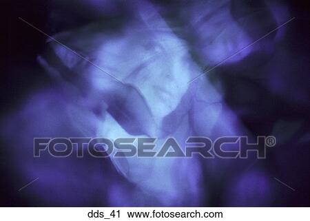 Stock Image - Reflection of a woman's face. Fotosearch