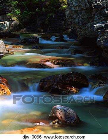 Stock Photograph - River running through a forest. Fotosearch