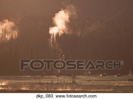 Smoke rising from a forest View Large Photo Image Stock Image - Smoke rising from a forest . Fotosearch
