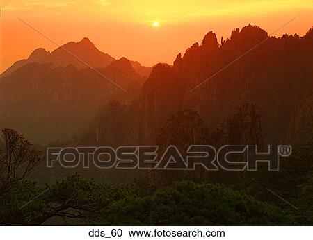 Tree covered mountains at sunset View Large Photo Image Stock Image - Tree covered mountains at sunset. Fotosearch