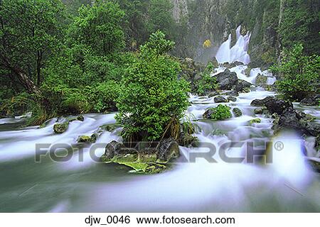 View of a river running through a forest View Large Photo Image Stock Photograph - View of a river running through a forest. Fotosearch