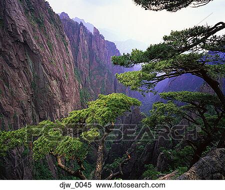 View of a trees and a mountain range View Large Photo Image Stock Photography - View of a trees and a mountain range. Fotosearch