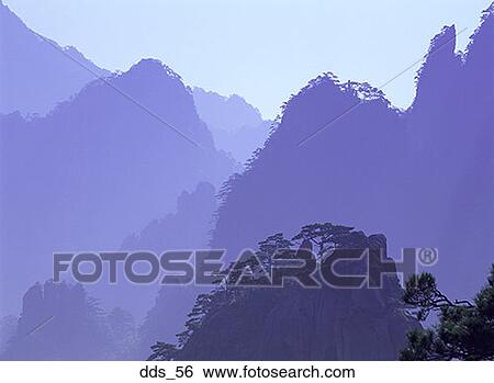 View of tree covered mountains View Large Photo Image Stock Photograph - View of tree covered mountains. Fotosearch