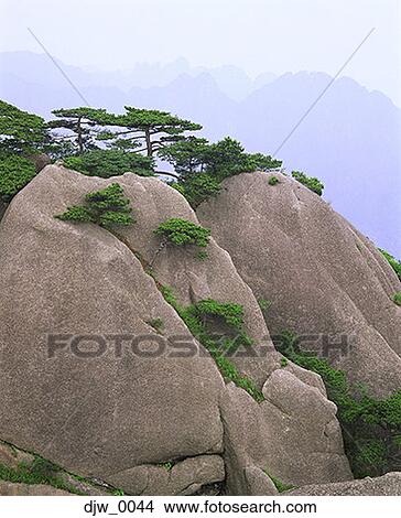 View of trees on a rock formation View Large Photo Image Picture - View of trees on a rock formation. Fotosearch