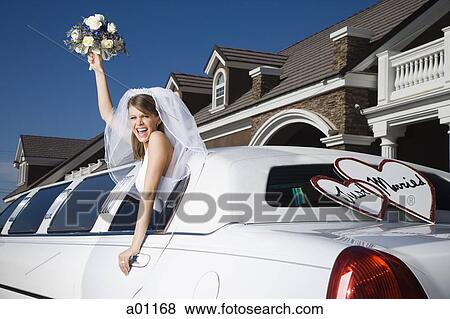 A bride holding a bouquet of flowers and leaning out of a limo window View Large Photo Image Stock Photo - A bride holding a bouquet of flowers and leaning out of a limo window. Fotosearch