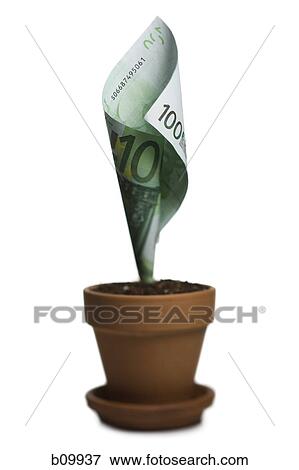 Stock Photo - A one hundred Euro banknote growing in a flower pot. Fotosearch