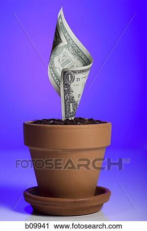 An American one dollar bill growing in a flower pot View Large Photo Image Stock Image - An American one dollar bill growing in a flower pot. Fotosearch