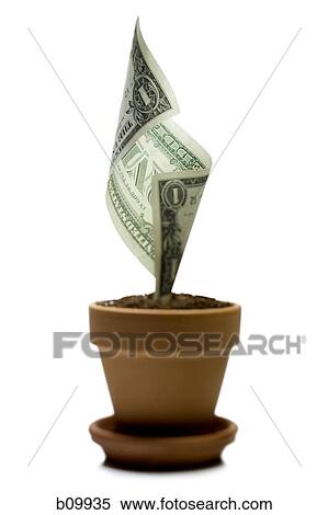 Stock Photography - An American one dollar bill growing in a flower pot. Fotosearch