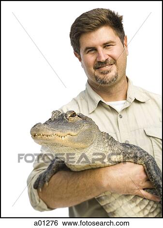 Animal handler with alligator View Large Photo Image Stock Photograph - Animal handler with alligator. Fotosearch