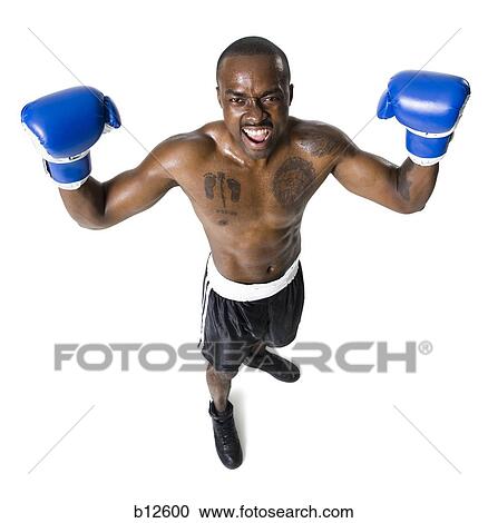 Boxer celebrating victory View Large Photo Image Stock Image - Boxer celebrating victory. Fotosearch