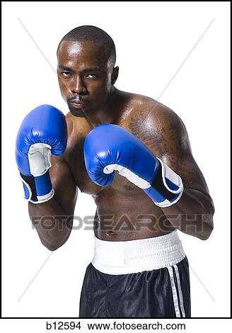 Picture - Boxer. Fotosearch