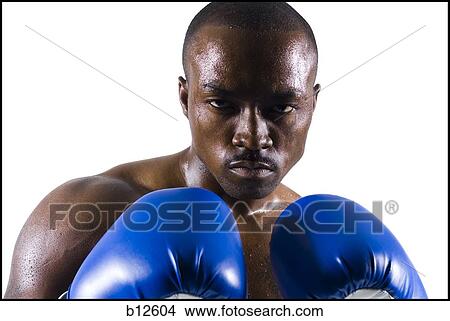 Boxer View Large Photo Image Picture - Boxer. Fotosearch