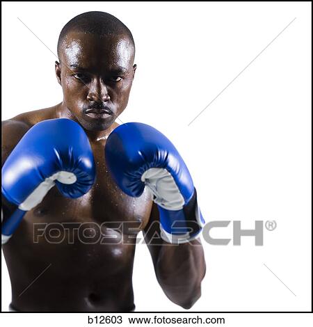 Boxer View Large Photo Image Stock Image - Boxer. Fotosearch