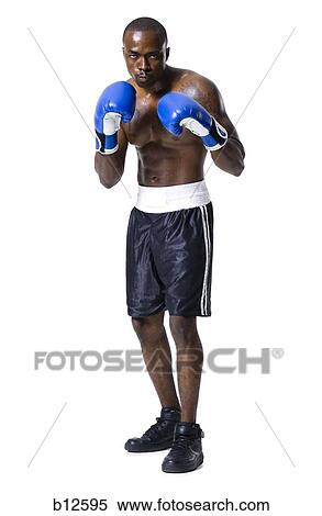 Boxer View Large Photo Image Stock Photography - Boxer. Fotosearch