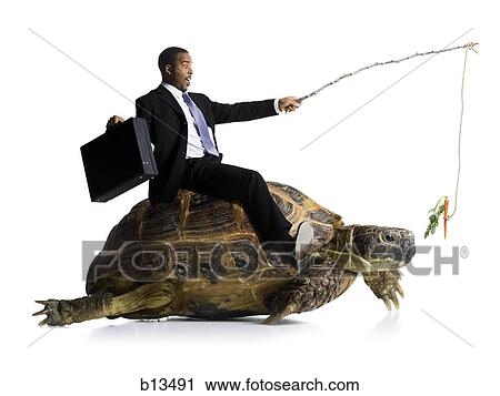 Businessman riding sea turtle with carrot on stick View Large Photo Image Stock Image - Businessman riding sea turtle with carrot on stick. Fotosearch