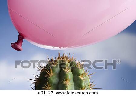 Close-up of a balloon above a cactus View Large Photo Image Stock Photo - Close-up of a balloon above a cactus. Fotosearch