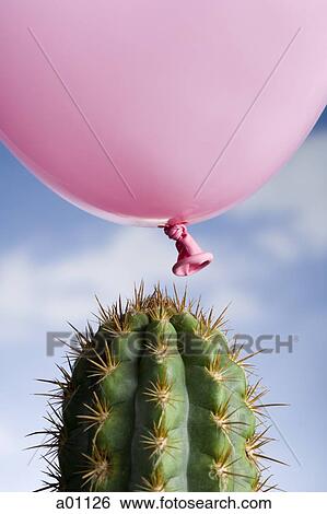 Close-up of a balloon above a cactus View Large Photo Image Stock Photograph - Close-up of a balloon above a cactus. Fotosearch