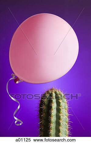 Close-up of a balloon above a cactus View Large Photo Image Stock Photography - Close-up of a balloon above a cactus. Fotosearch
