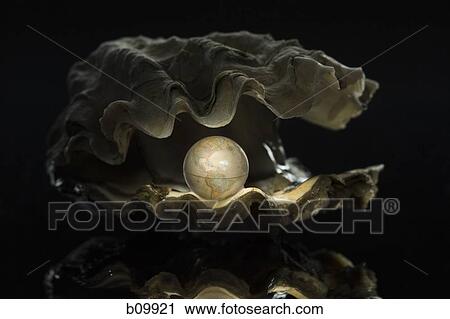 Close-up of a globe in an oyster View Large Photo Image Stock Image - Close-up of a globe in an oyster. Fotosearch