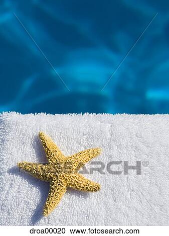 Close-up of a starfish on a towel View Large Photo Image Stock Image - Close-up of a starfish on a towel. Fotosearch