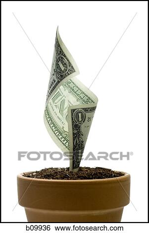Close-up of an American one dollar bill growing in a flower pot View Large Photo Image Stock Photograph - Close-up of an American one dollar bill growing in a flower pot. Fotosearch