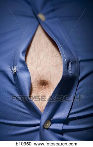 Close-up of fat stomach bursting through shirt View Large Photo Image Stock Image - Close-up of fat stomach bursting through shirt. Fotosearch
