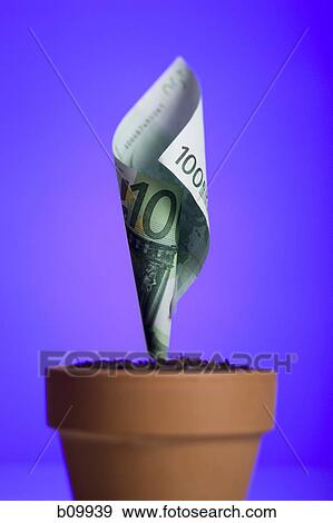 Close-up of one hundred Euro banknote growing in a flower pot View Large Photo Image Stock Photo - Close-up of one hundred Euro banknote growing in a flower pot. Fotosearch