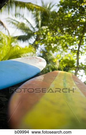 Close-up of two surfboards View Large Photo Image Picture - Close-up of two surfboards. Fotosearch