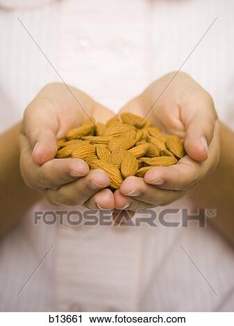Closeup of female hands with almonds View Large Photo Image Stock Image - Closeup of female hands with almonds. Fotosearch