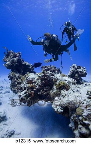 Couple scuba diving View Large Photo Image Stock Photography - Couple scuba diving. Fotosearch
