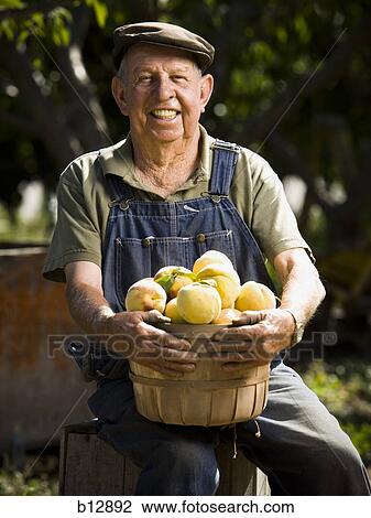 Farmer posing with a basket of peaches View Large Photo Image Stock Image - Farmer posing with a basket of peaches. Fotosearch