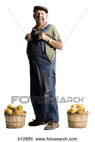 Farmer posing with baskets of apricots View Large Photo Image Stock Photography - Farmer posing with baskets of apricots. Fotosearch