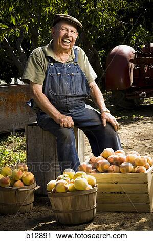 Stock Image - Farmer posing with baskets of peaches. Fotosearch