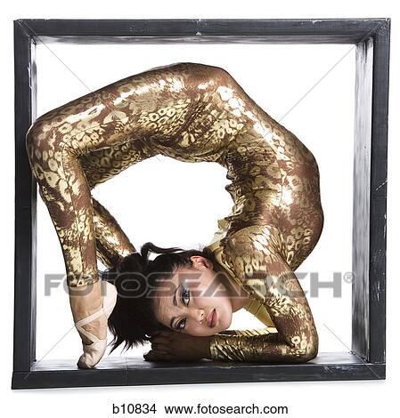 Female contortionist inside the box View Large Photo Image Picture - Female contortionist inside the box. Fotosearch