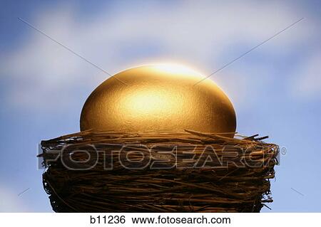 Golden nest egg View Large Photo Image Stock Photograph - Golden nest egg. Fotosearch